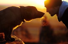 человек и собака