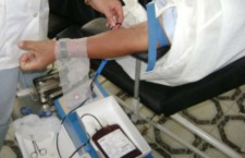 Донор крови