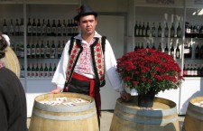 Вино, винодел