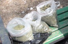 конопля наркотики droguri