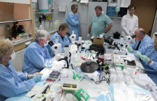 российские и американские ученые