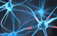 мозг нейроны