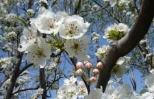 photo: mykartinka.ru