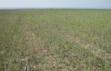 photo:https://www.google.ru/