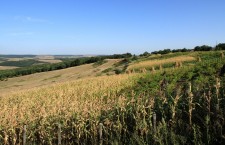 молдова поля склон