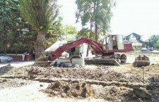 Дом у Дендрария