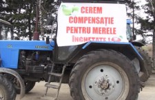 Протесты фермеров Молдова