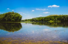 Днестр река