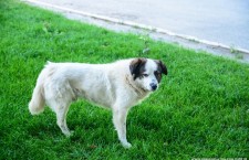 photo://adrianplaton.com/