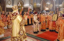 êóïèòü øåðñòÿíîé êîâåð