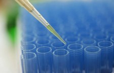 1328199779_42-17171258