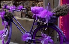 ukhfotq7cxw_58833300