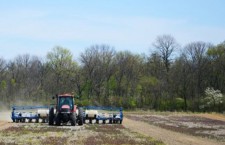 17001697_big1488454599