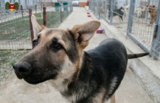 17310838_10210142155808884_592176795_o_6637022