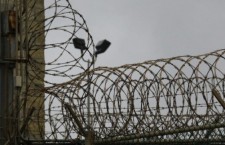 541356592_28950400-715x402