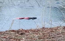 Обнаружено-тело-утопленника-предположительно-разыскиваемого-за-убийство…--800x445