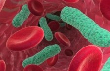 Zarazhenie-v-krovi-400x240