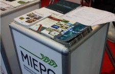 17003103_big1493216947