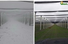 328340bf380a8a82ae6b8ad5a2ba5dff