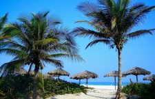 4ef09a00e7b78a0532e2bf22d4cf0535