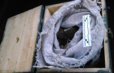 взрывчатка