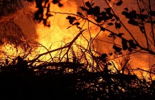 пожар на республиканском стадионе