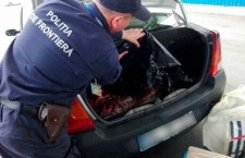 Пограничная полиция