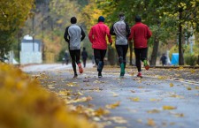 pic_fb17355009dc7d4ae86684489803a68d