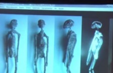 останки пришельцев в Перу