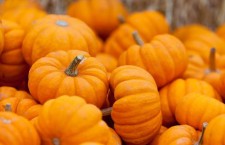 тыква осень