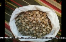 В Молдове в среду проводятся 170 обысков по делу о наркотиках