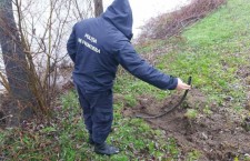 4cf543192bad27b8ee1a1f45afbcc1b7