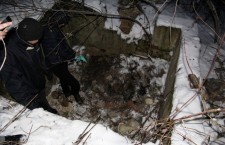 убийство место преступления полиция