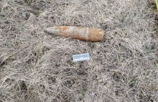 52890006_418468952292981_7359803400910798848_n