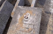 54432303_1304909149657497_6876232418873835520_n