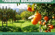 афишаВоспоминание1 (3)
