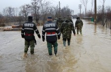 media-147903969165723600